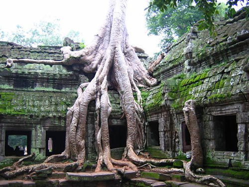 VB102: HIGHLIGHTS OF ANGKOR (4 Days/ 3 Nights)