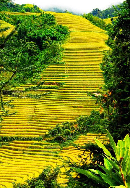 VB057: TRANSVIET TOUR (14 Days/ 13 Nights)